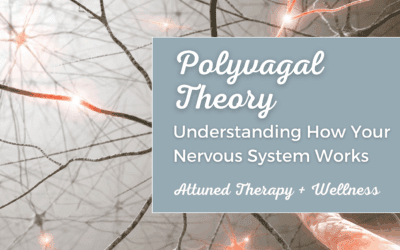 Polyvagal Theory: How Your Nervous System Works
