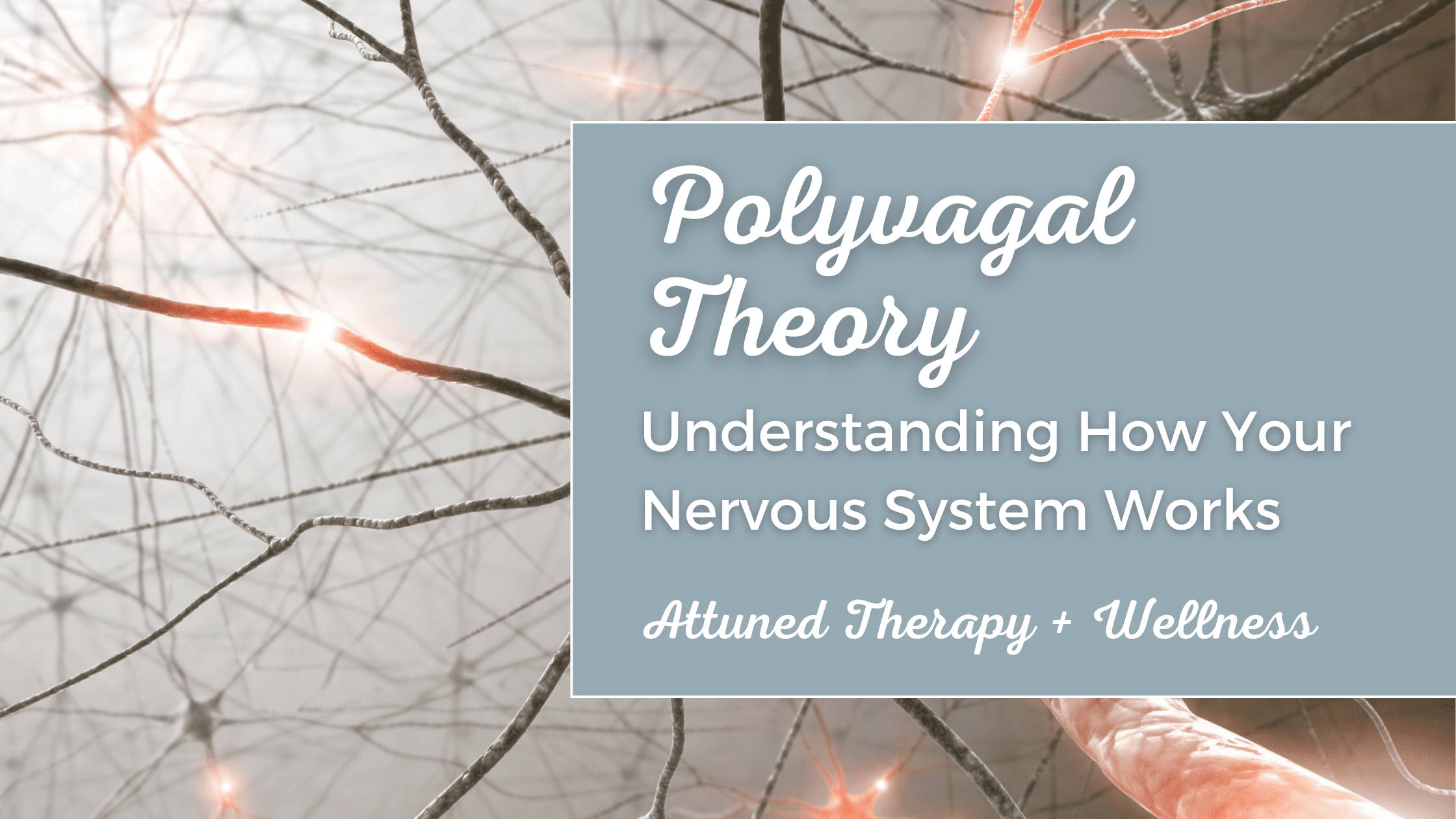 polyvagal theory nervous system regulation polyvagal theory nervous system regulation, psychotherapy, trauma therapy approaches that are somatic attuned therapy + wellness, attuned therapy kincardine ontario canada