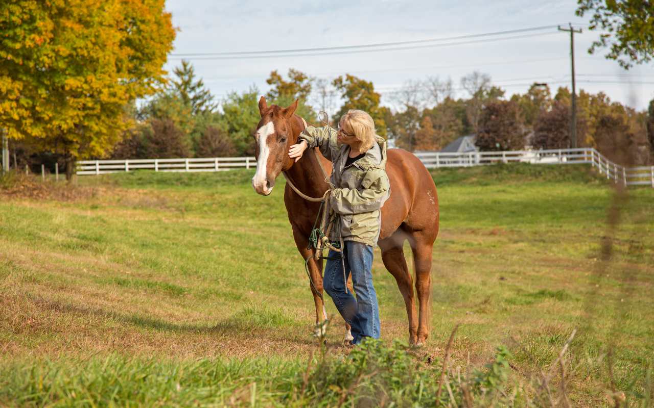 rural therapy Ontario Bruce County