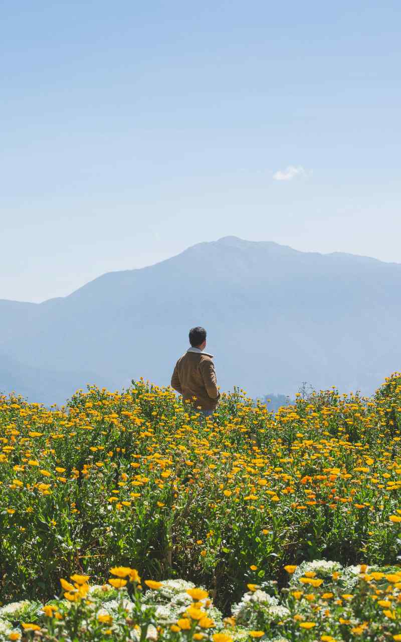 mens mental health support virtual online
