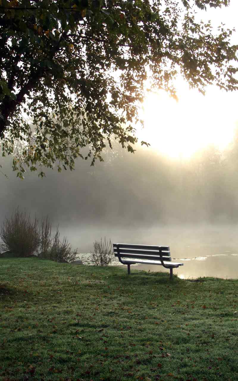 complex trauma counselling ontario